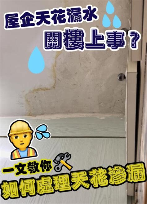 樓頂漏水|樓上漏水，屋主不處理怎麼辦？四個步驟解決棘手問題。